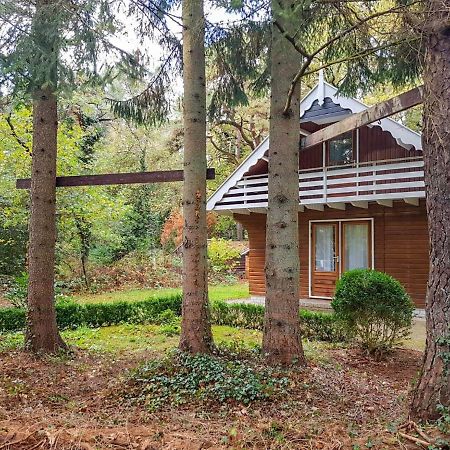 Chalet Oosterduinen By Interhome Norg Eksteriør bilde